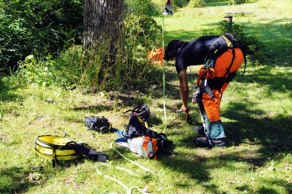 arborist redo för beskärning i farsta
