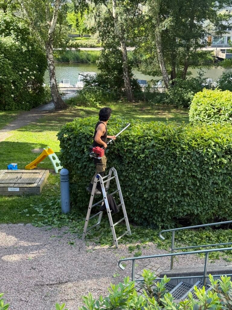 "Beskärning i Stockholm"