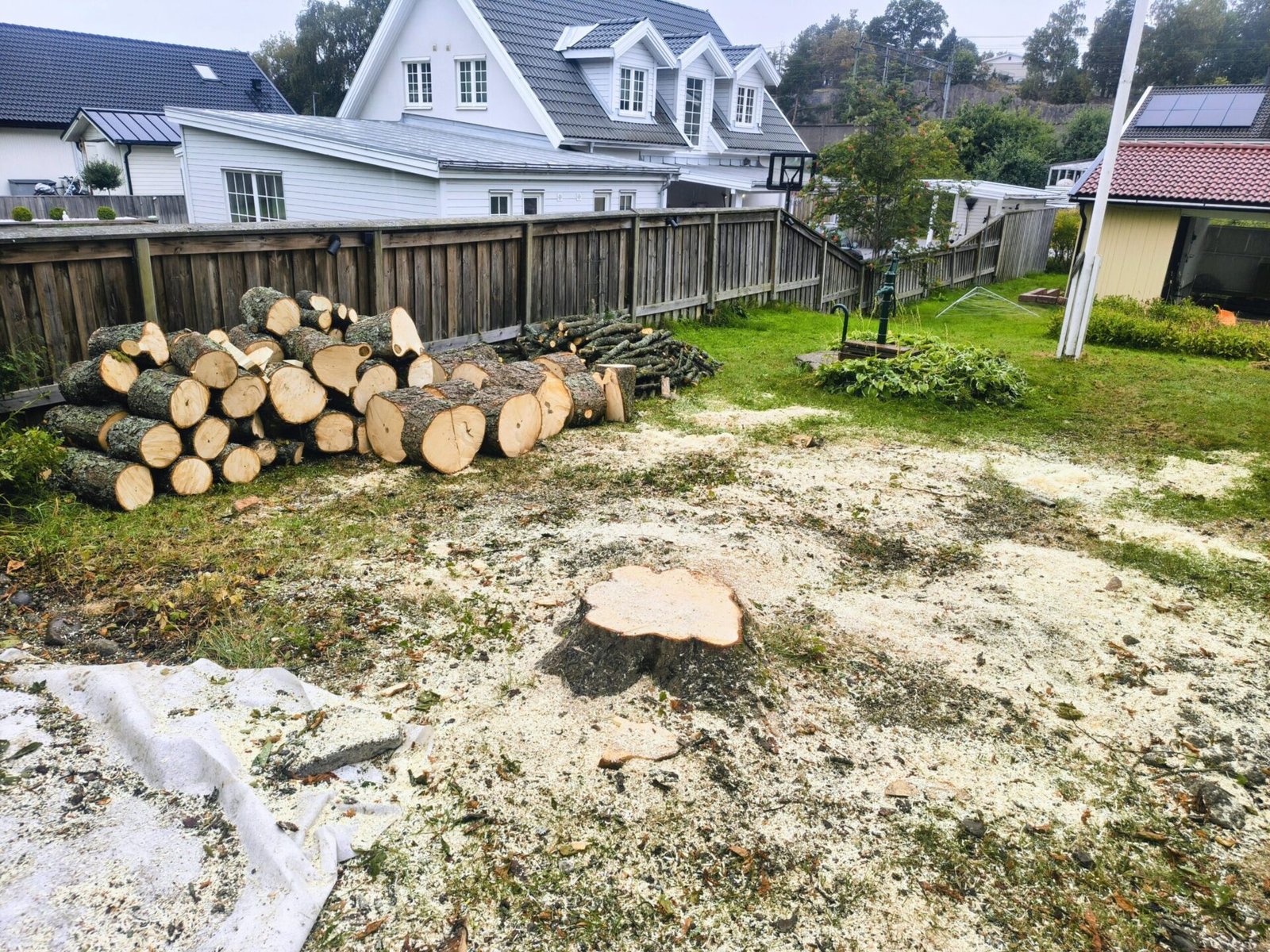 Kapad ved efter trädfällning nära hus i stockholm, huddinge